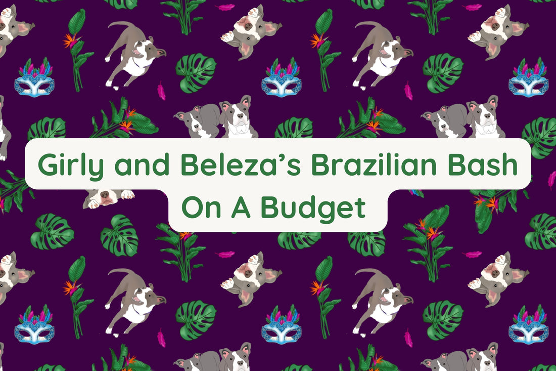 When Life Gives You Lemons, Throw a Party: Celebrating Bela’s Birthday on a Budget