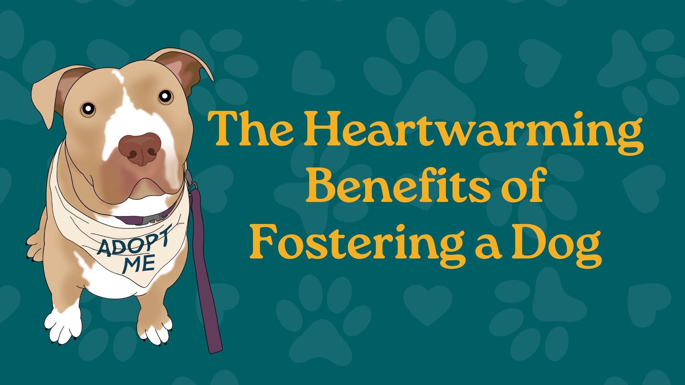 The Heartwarming Benefits Of Fostering A Dog – Pet Obsessed People