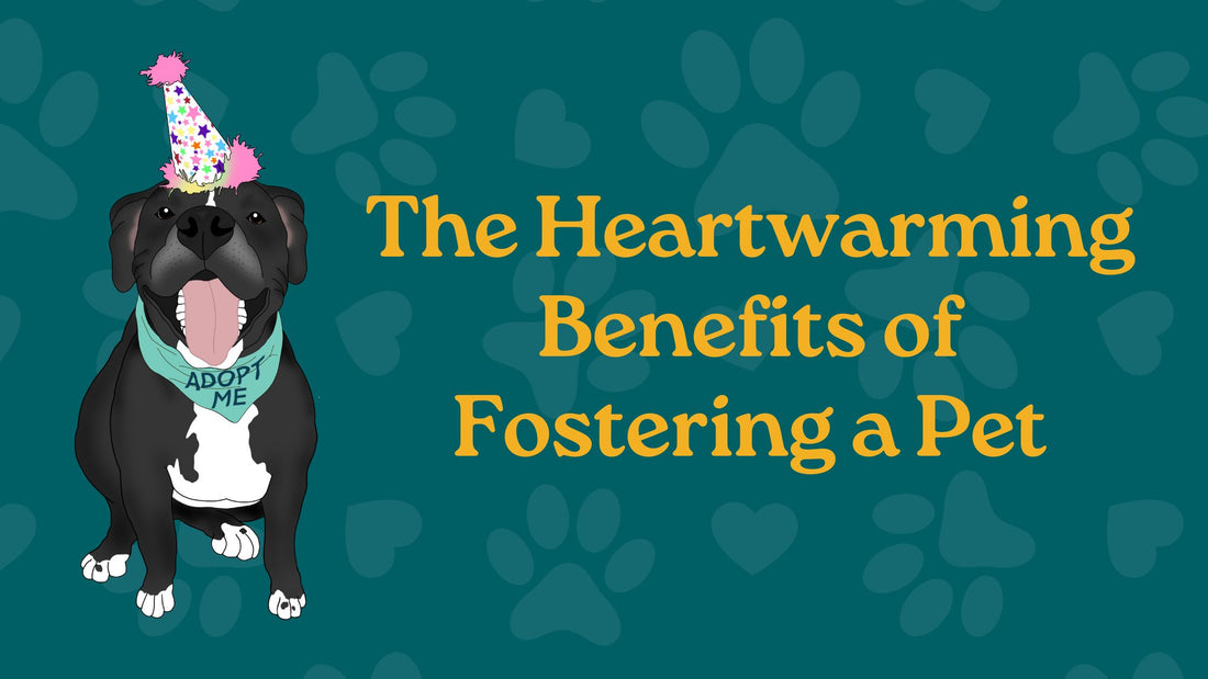 Fostering a Pet: A Heartfelt Adventure Awaits!