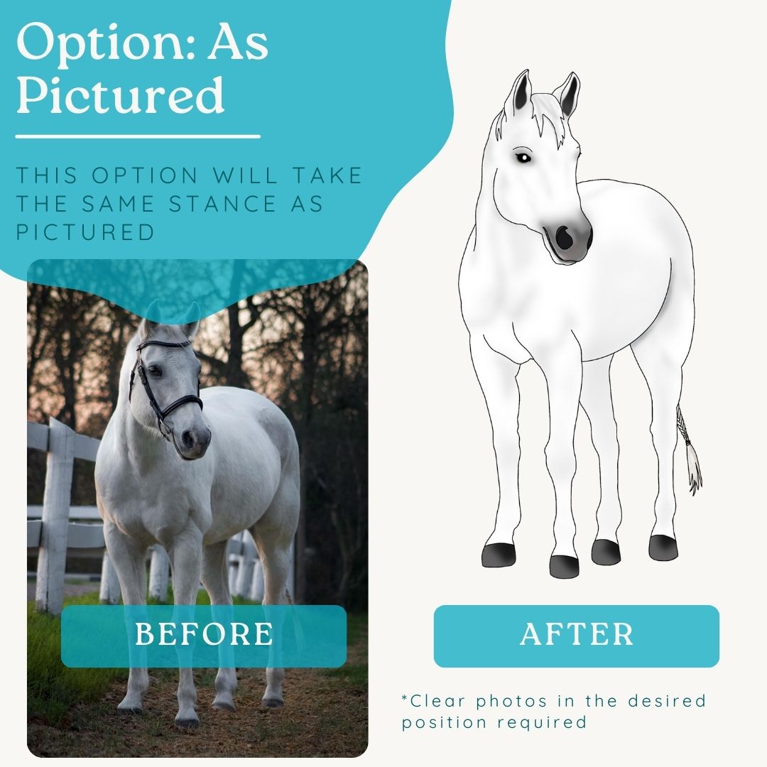 Custom Pet Drawing