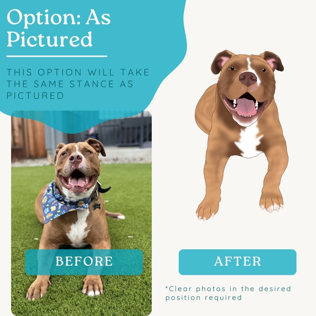 Custom Pet Drawing