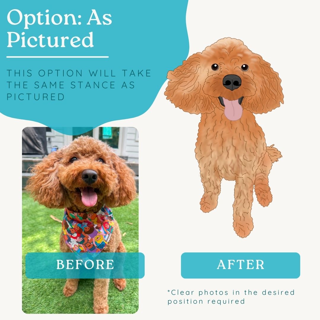 Custom Pet Drawing