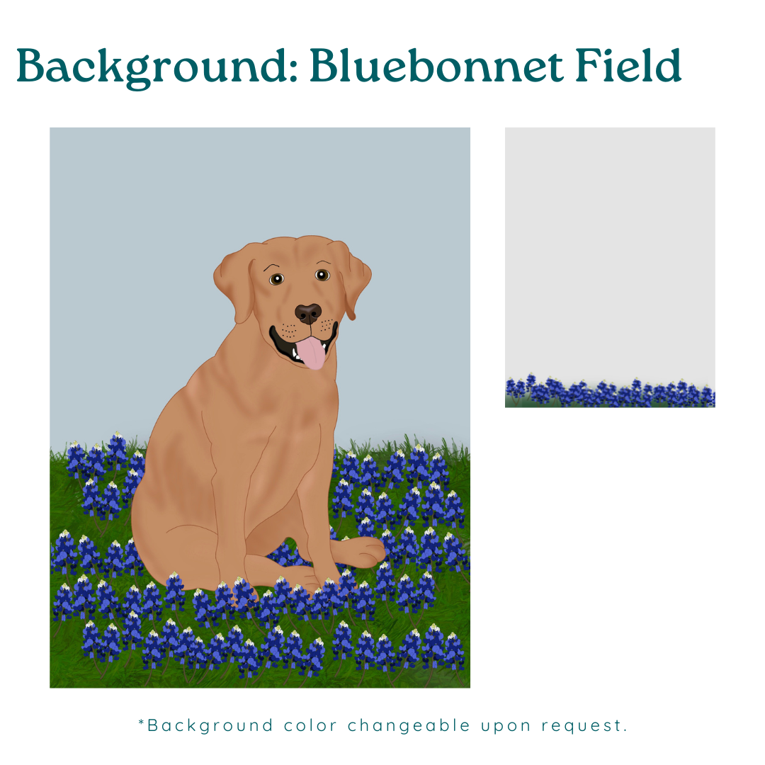 Custom Pet Drawing