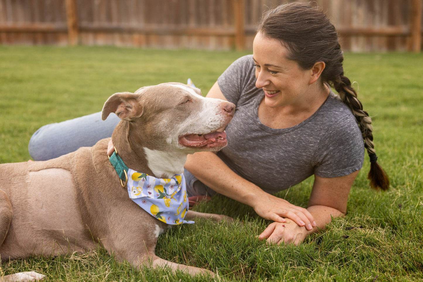 Tudo Beleza Lemon Pet Bandana - Stripped