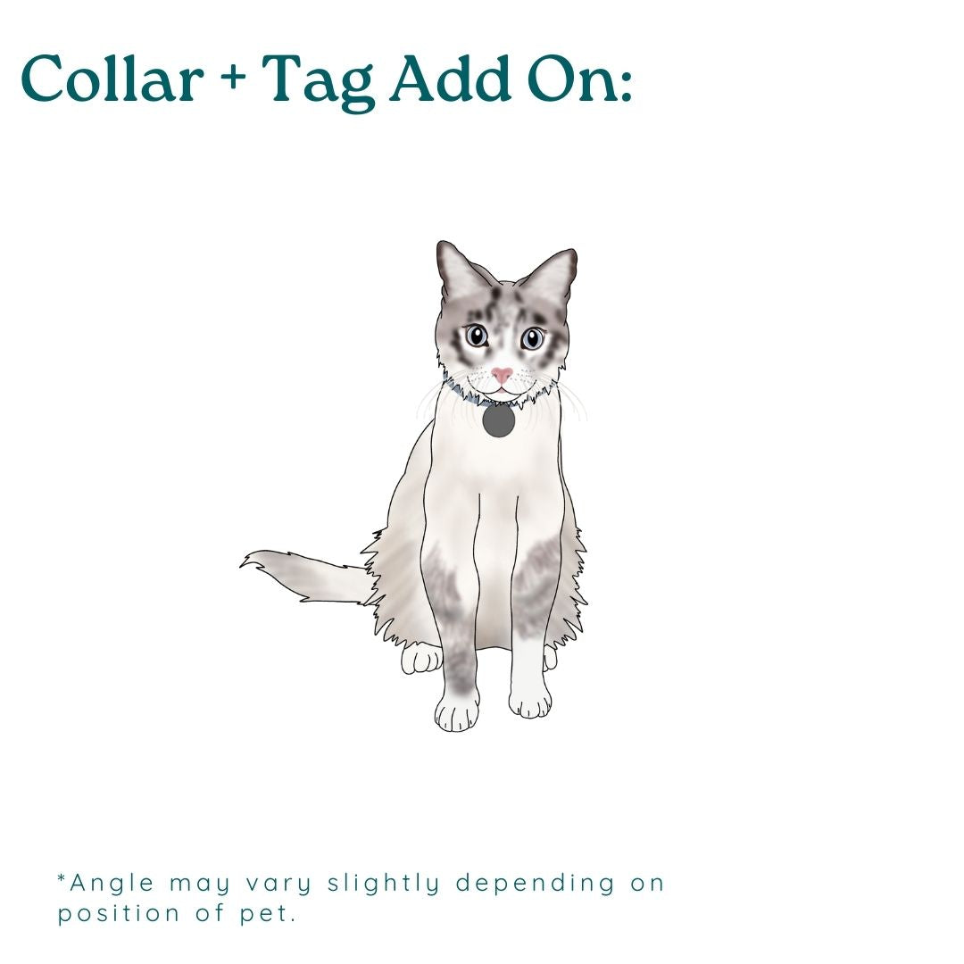 Custom Pet Drawing