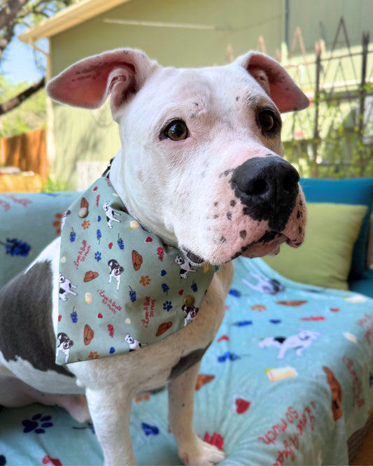 Custom Pet Bandanas