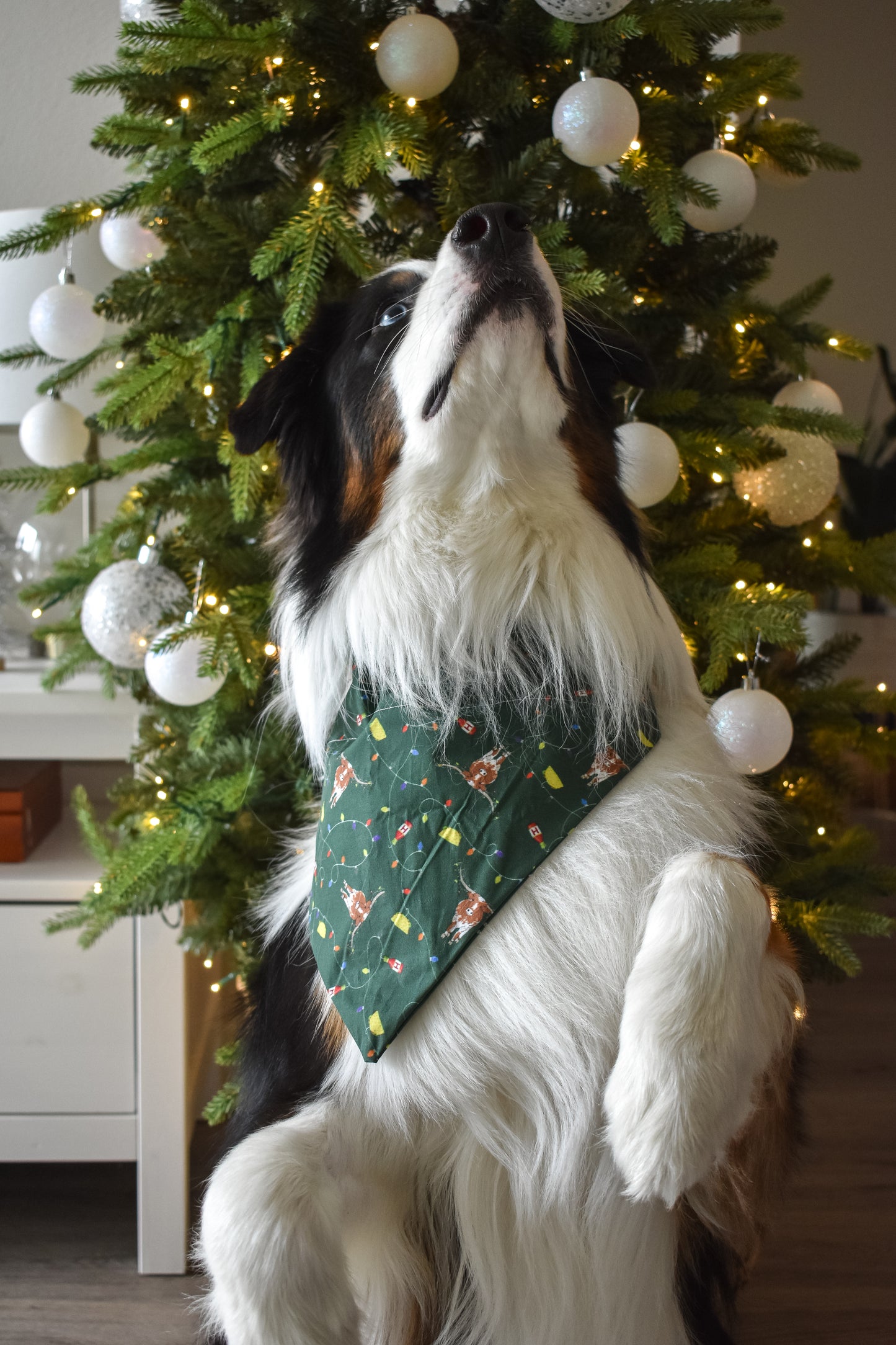 Dog Bandana _ Pet Bandana _ Holiday dog bandana _ Hooked on the holidays UT bandana