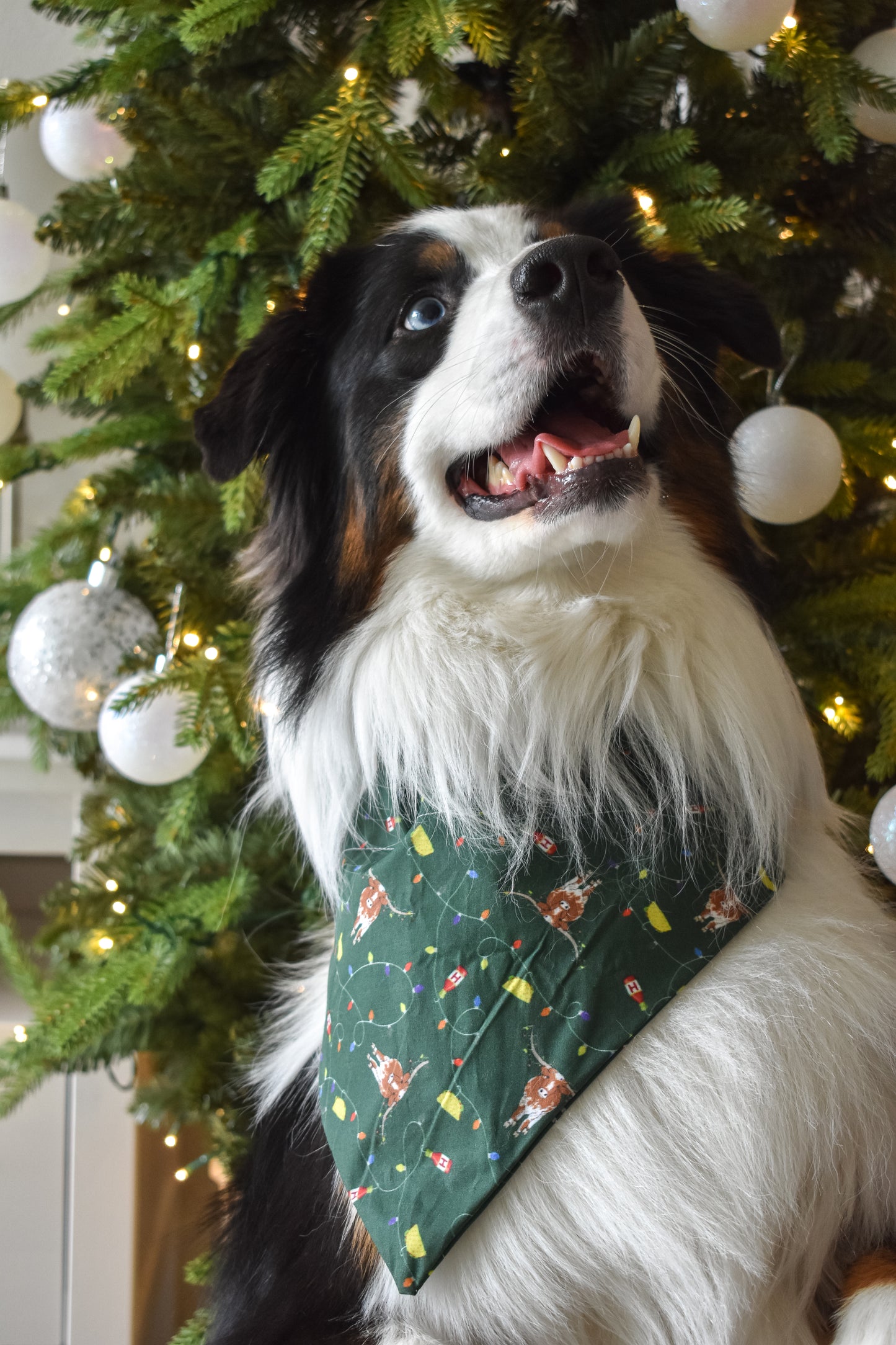 Dog Bandana _ Pet Bandana _ Holiday dog bandana _ Hooked on the holidays UT bandana