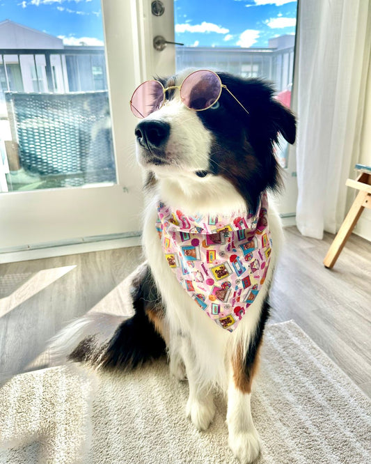 Groovy 'n Furout Pet Bandanas