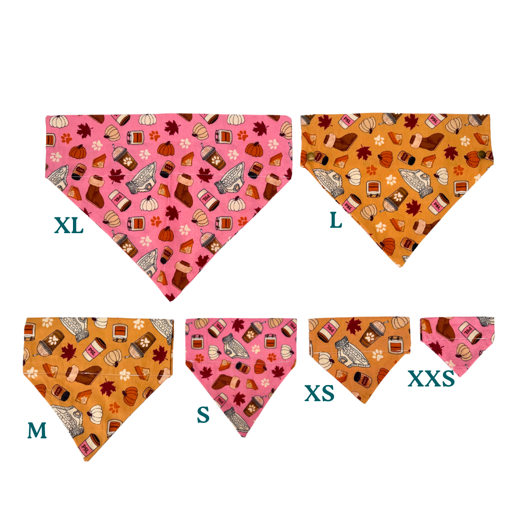 Custom Pet Bandanas