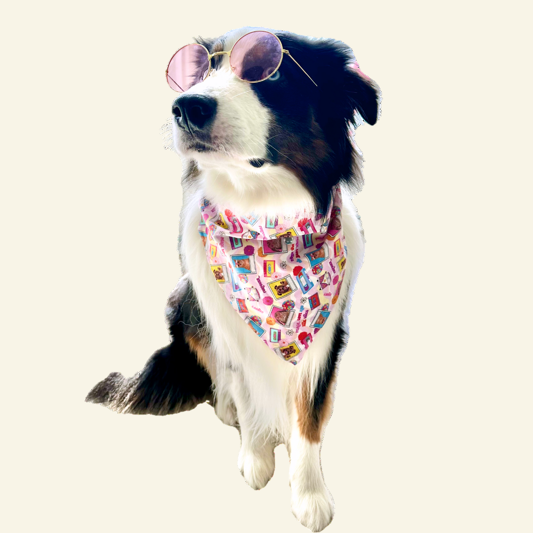 A dog wearing a multicolored geometric patterned bandana and sunglasses.