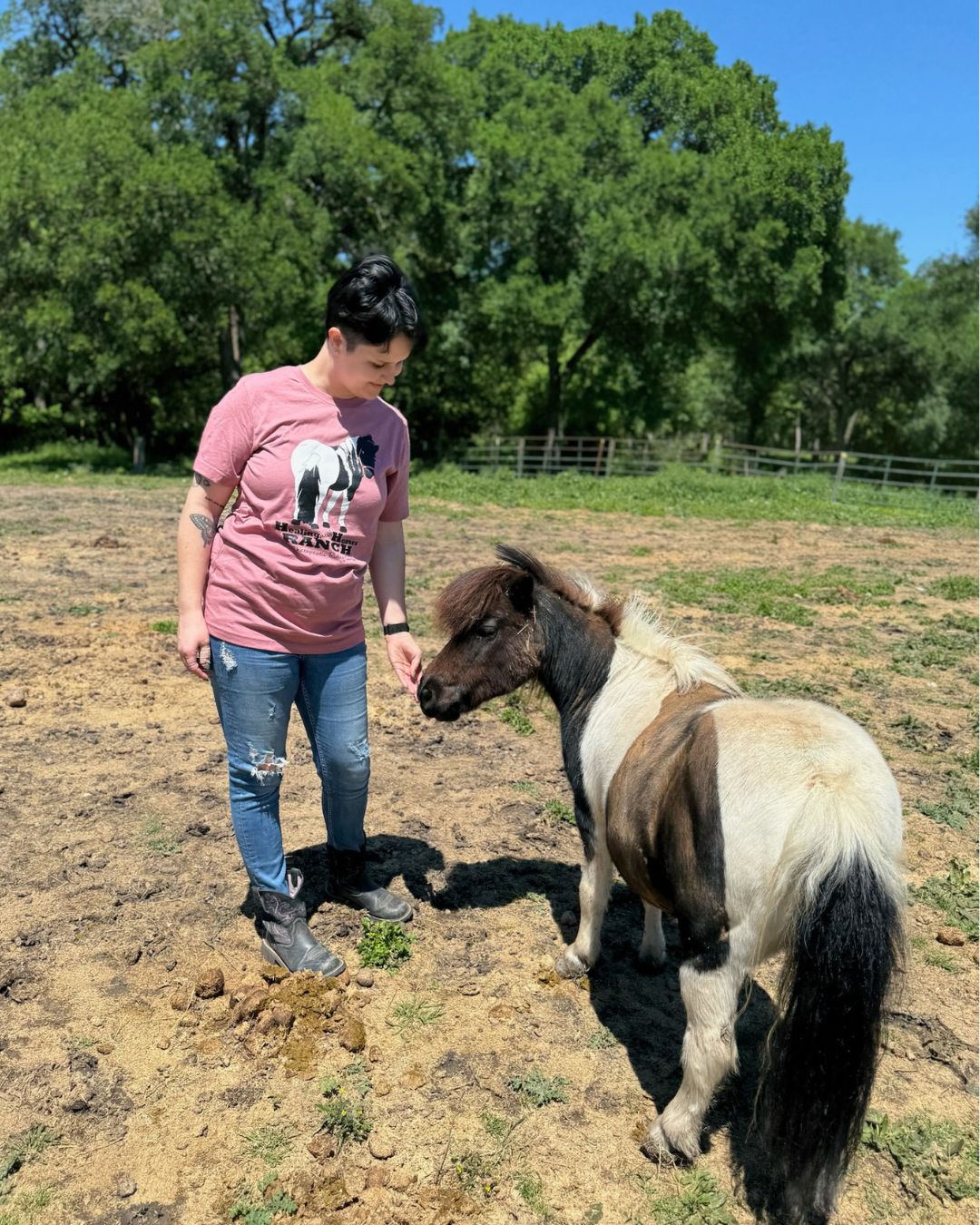 Sassy But Sweet Oreo Unisex Tee | Healing With Horses