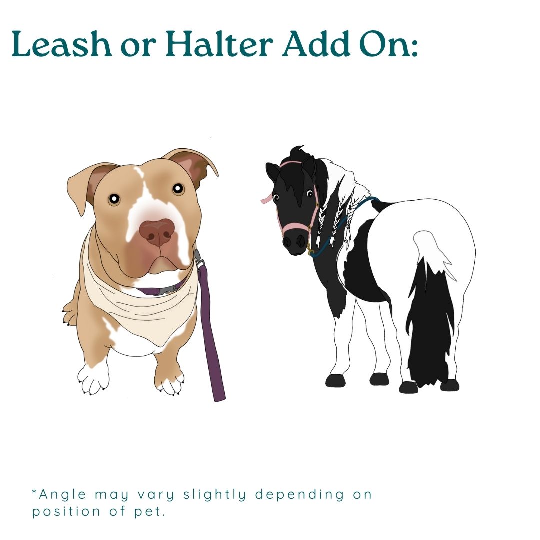 Custom Pet Drawing