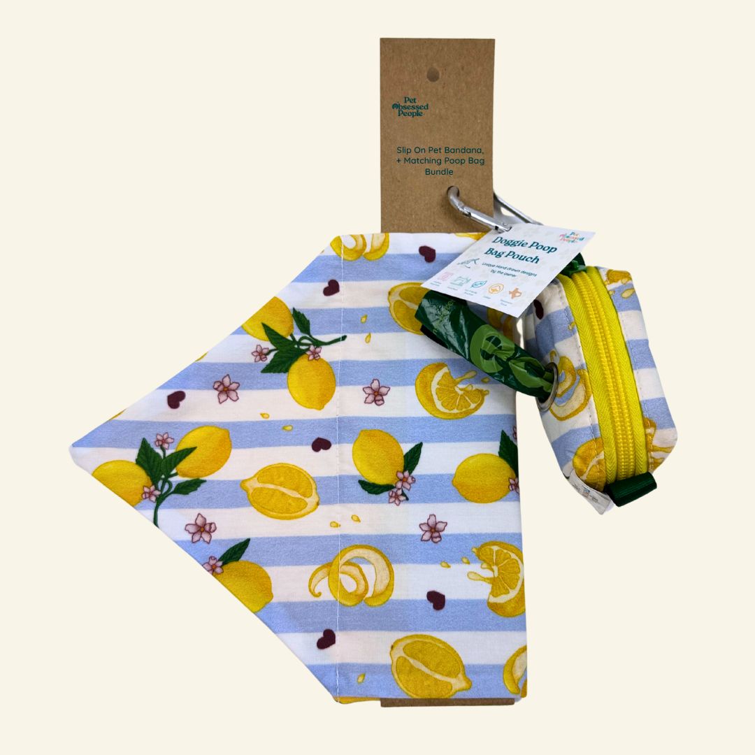 Tudo Beleza Lemon Bundle - Starter