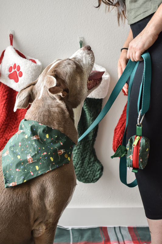 Holiday Poop Bag Holder Pouch hooked on the holidays