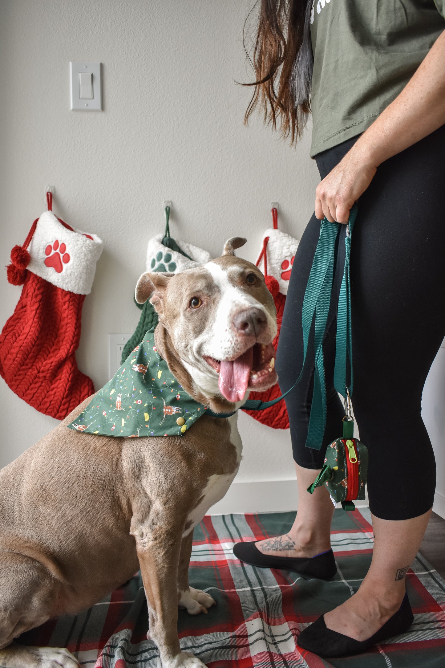 Holiday Poop Bag Holder Poop bag pouch