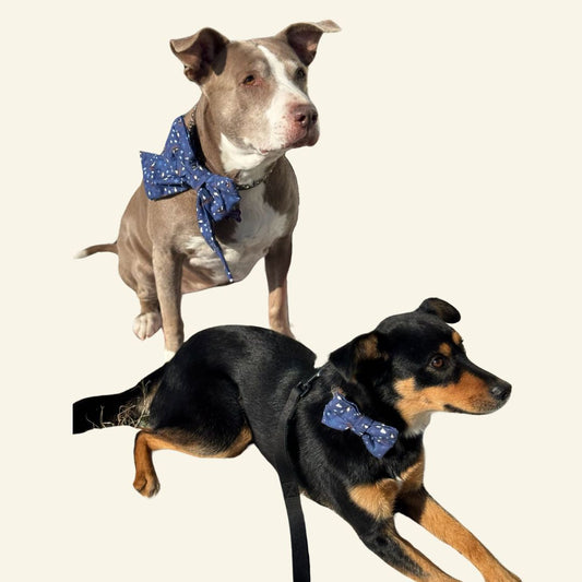 I Hope You Sleigh Bows - Regular Bow Tie - Boy Bows