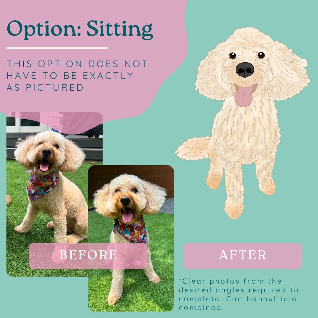 Custom Pet Drawing