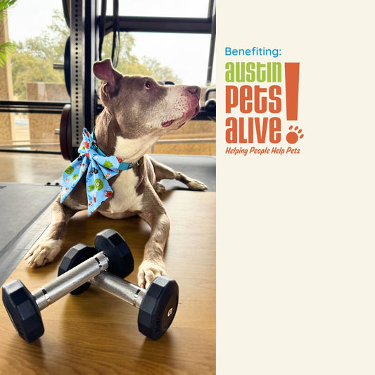 Sweat For Shelter pets - Sailor and Regular