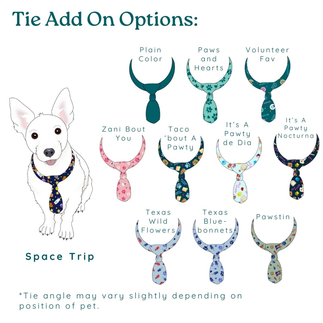 Custom Pet Drawing