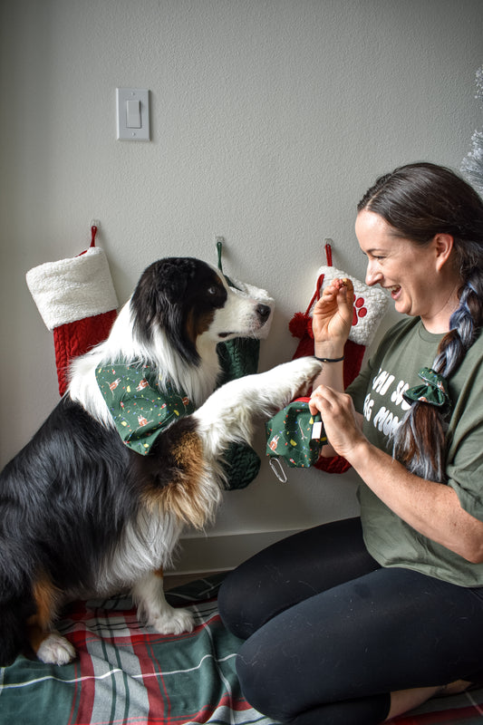 Hooked On The Holiday Treat Pouch With Food Safe Lining