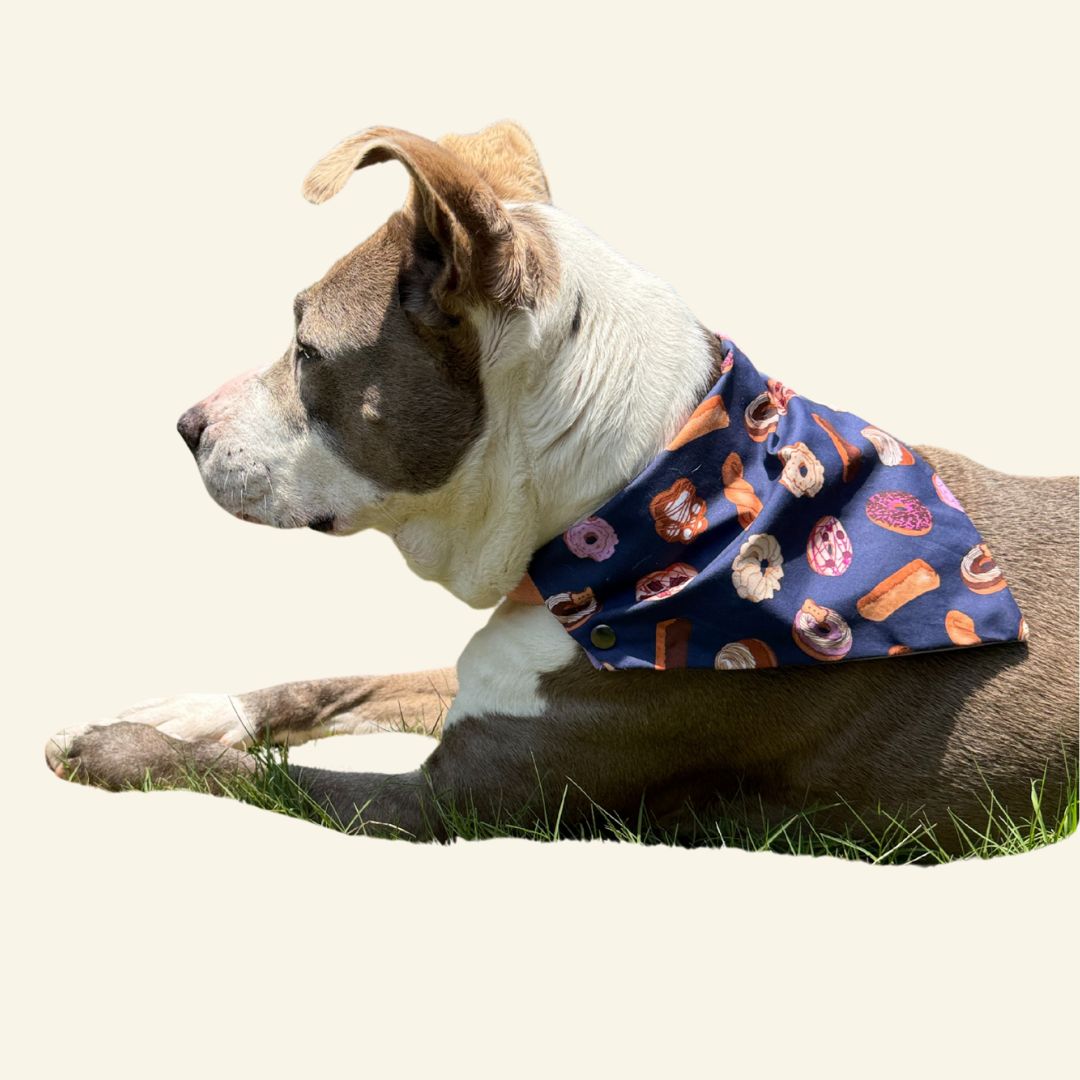 Bougie Donut Bites Bandana