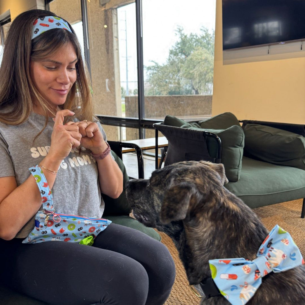 Sweat For Shelter Pets - Pet Friendly Purse