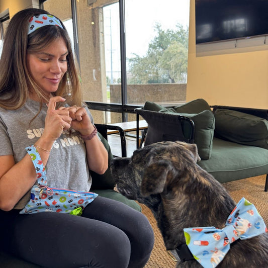 Sweat For Shelter Pets - Pet Friendly Purse