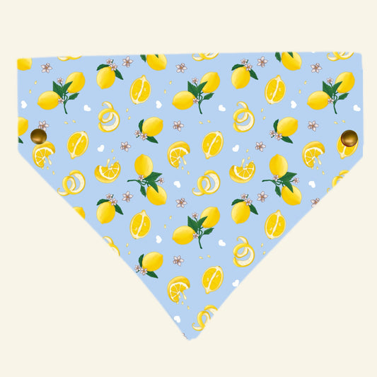 Tudo Beleza Lemon Pet Bandana - Blue