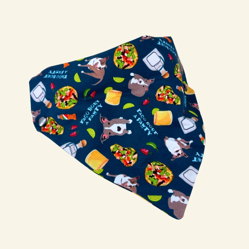 Custom Pet Bandanas