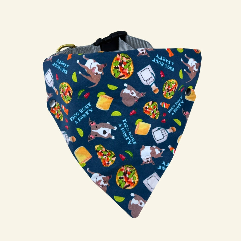 Custom Pet Bandanas