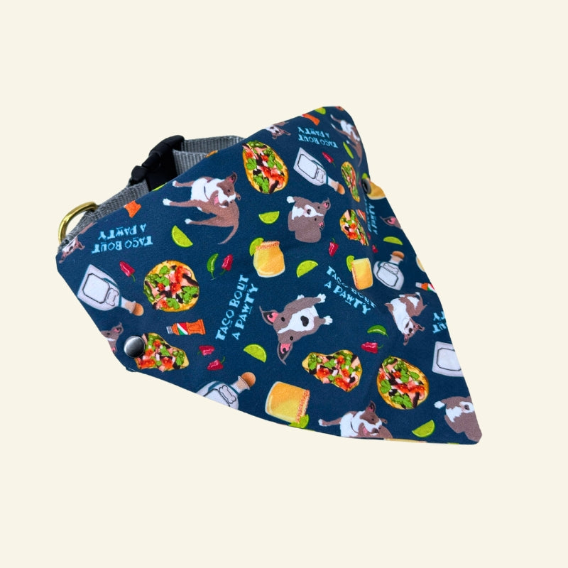 Custom Pet Bandanas