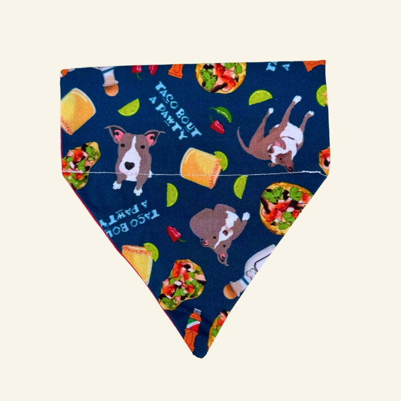 Custom Pet Bandanas