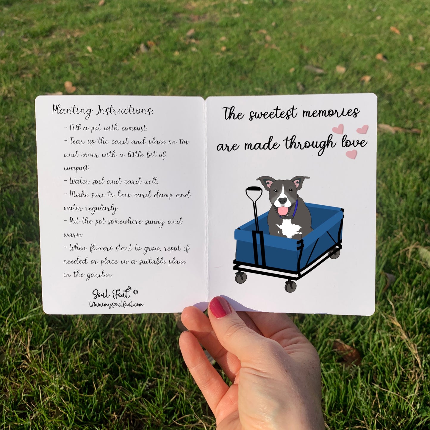 Seeded Pet Memorial Card | Soul Feat | Pet Portrait