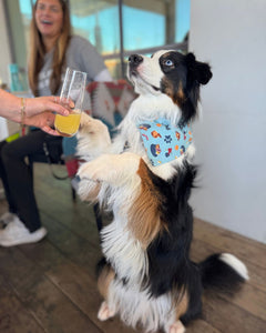 OMG, It's Brunch O'Clock: The Ultimate Bestie Brunch Guide for You and Your Fur Baby!