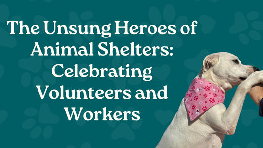 The Unsung Heroes of Animal Shelters: Celebrating Volunteers and Workers