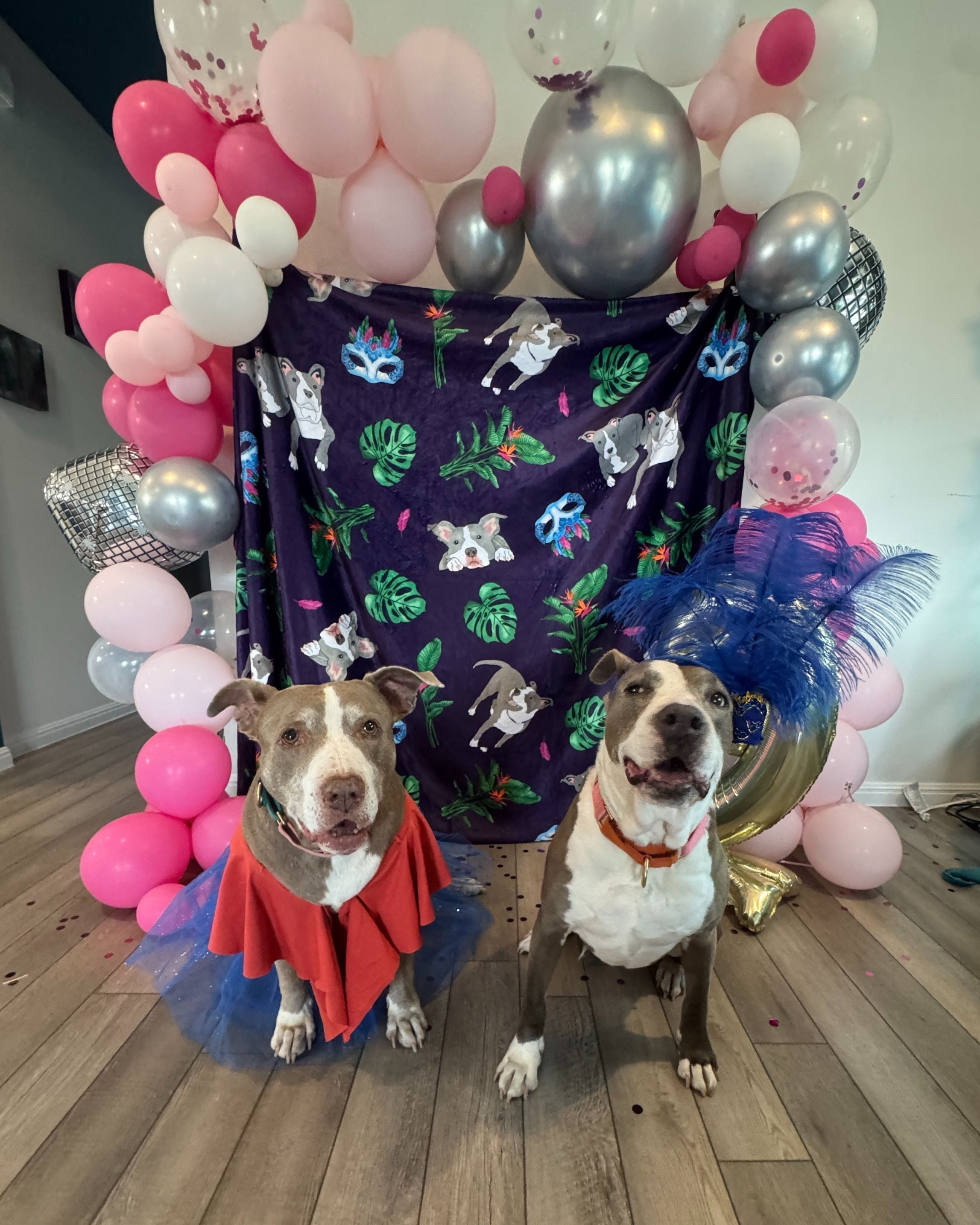Pet Parties Without the Pressure: Dog Birthday Party Ideas That Are Me ...