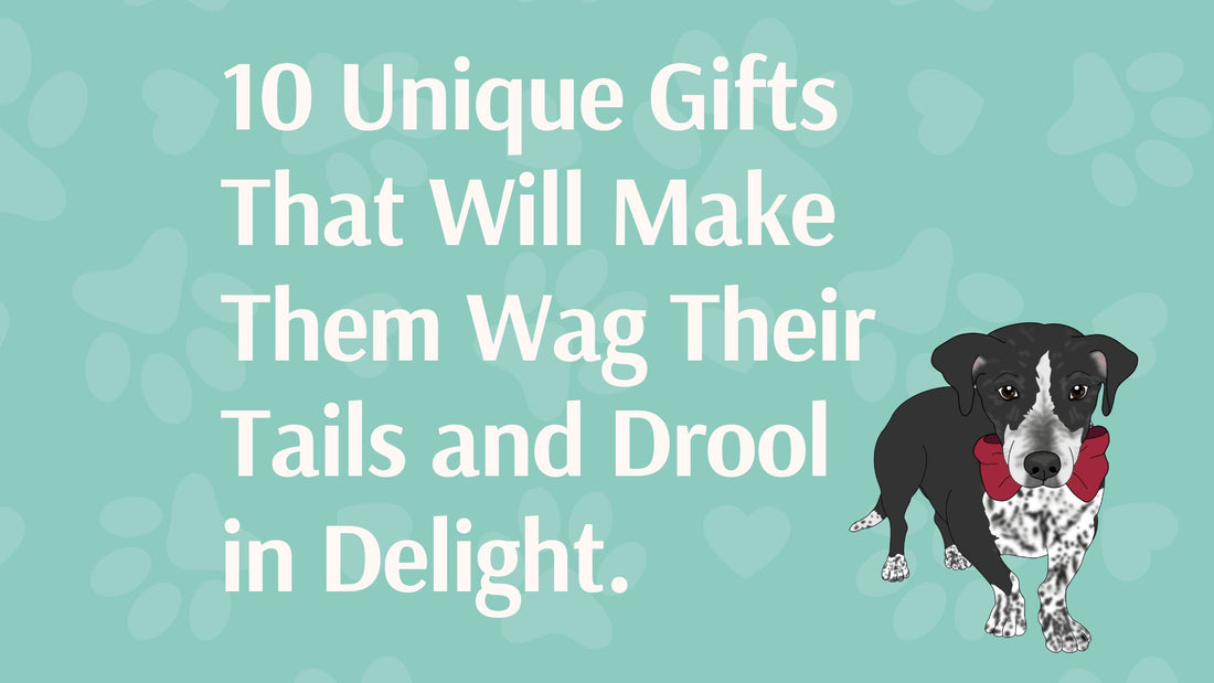 10 Unique Gifts for Pet Lovers That Will Make Them Wag Their Tails and Drool in Delight.