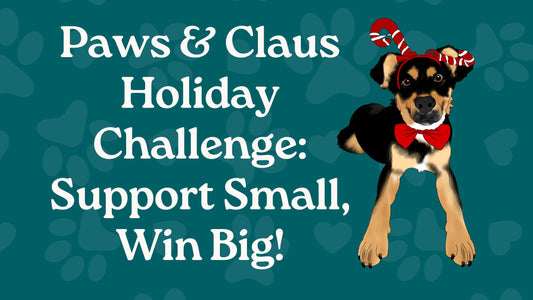 Support Small Business Challenge