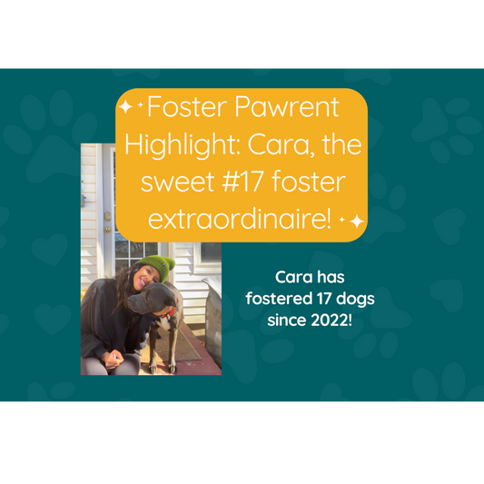 Foster Testimonial - Why you should foster and the benefits of fostering