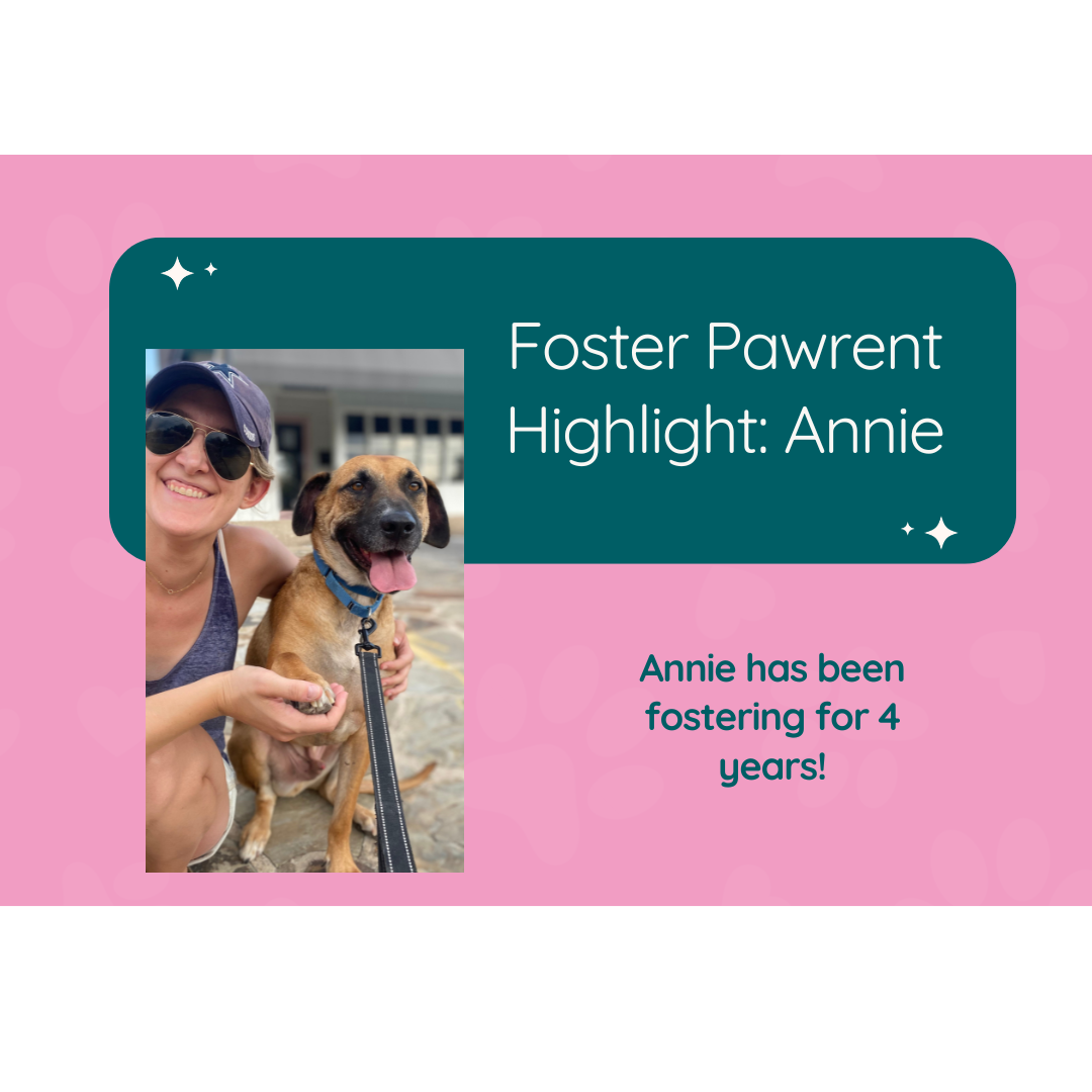 Annie’s Furry Foster Journey: Honoring Loved Ones and Saving Lives