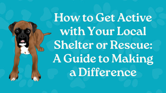 How to Get Active with Your Local Shelter or Rescue: A Guide to Making a Difference