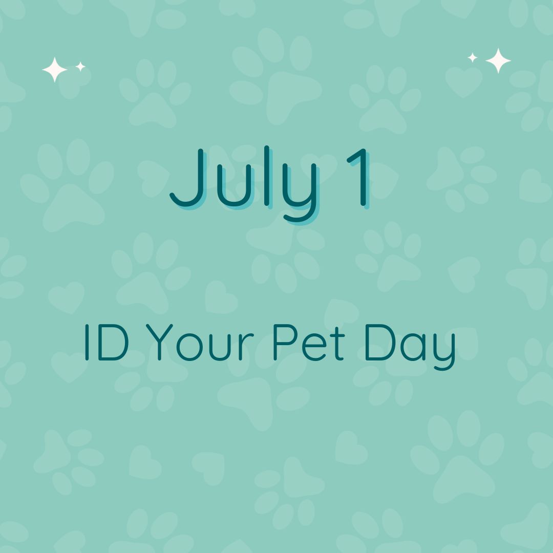 ID Your Pet Day: Keeping Our Furry Friends Safe