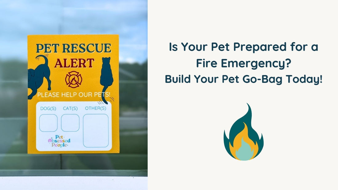 Is Your Pet Prepared for a Fire Emergency? Build Your Pet Go-Bag Today!