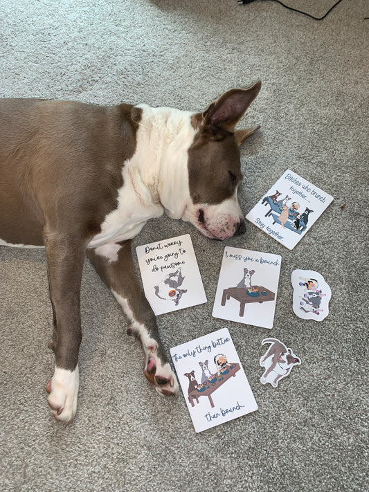 Get Your Paws on Our Foster & Adoption Appreciation Cards and Bundles!