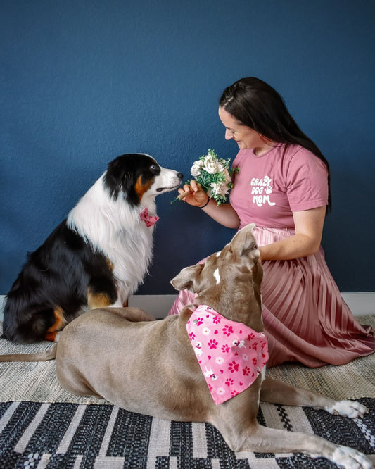 Why Every Pet Deserves a Pawlentine
