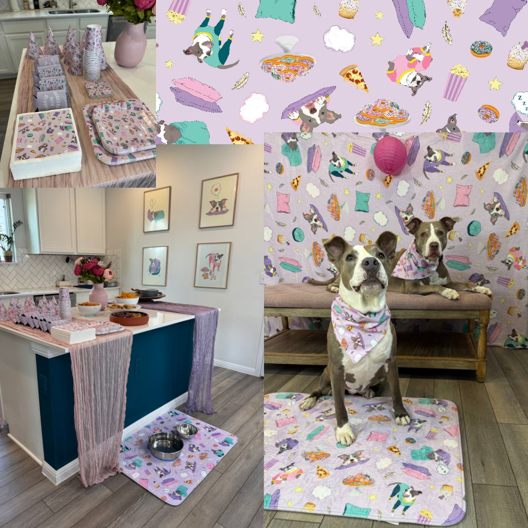 Event & Party Essentials