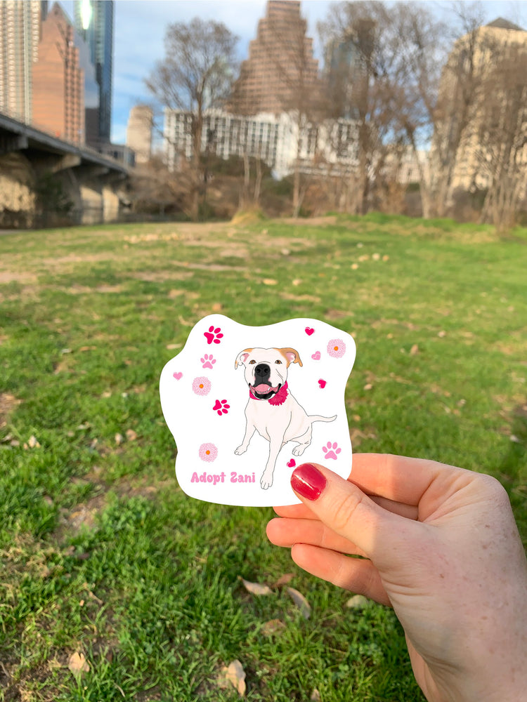 Adopt Zani | Pet Obsessed People