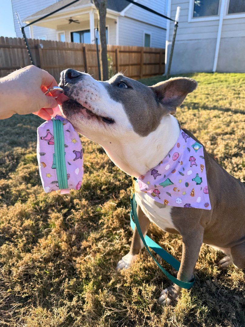 Treat Pouches