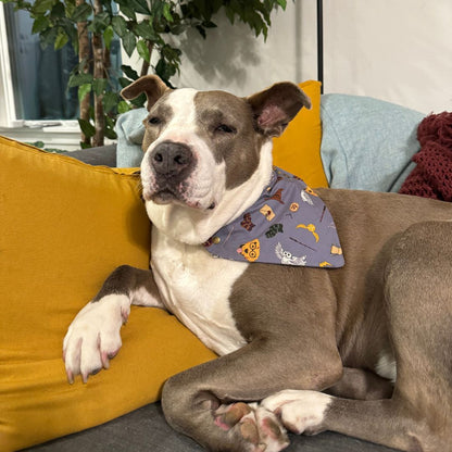 Pawgwarts: Magical Mascots Bandana - Pre Order
